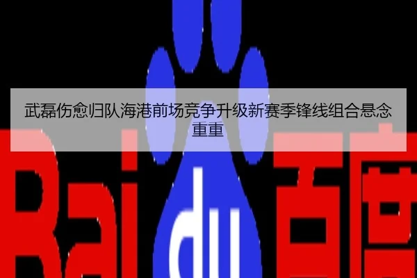 武磊伤愈归队海港前场竞争升级新赛季锋线组合悬念重重